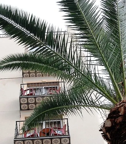 Hotel Queens - Adults Only